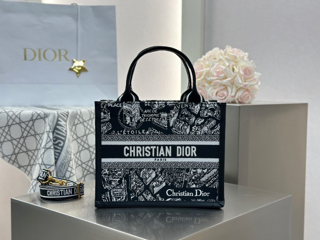 Dior Book Tote Paris Map New Edition