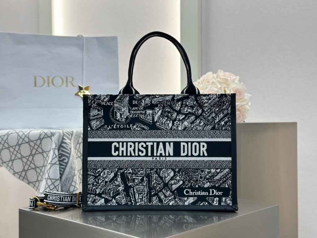 Dior Book Tote Paris Map New Style Medium Size