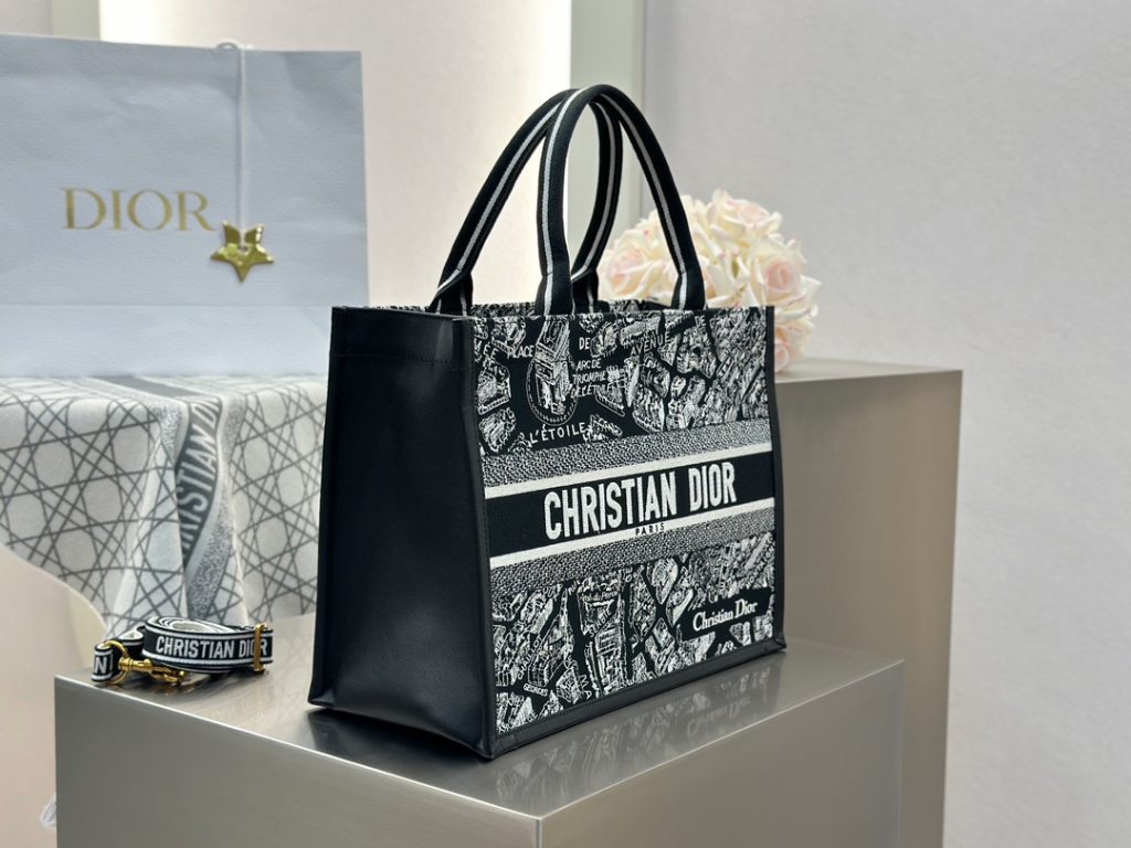 Dior Book Tote Paris Map New Style Medium Size