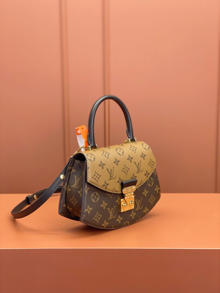 Louis Vuitton Tilsitt Bag