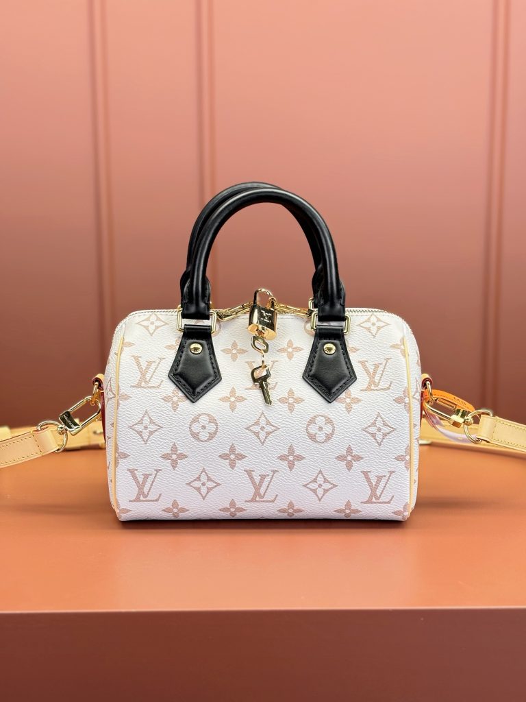 Louis Vuitton SPEEDY BANDOULIÈRE 20 Handbag