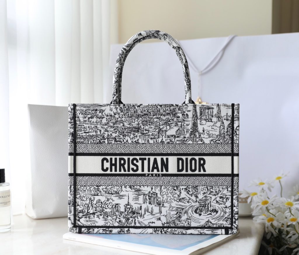 Dior Book Tote with Plan de Paris Embroidery