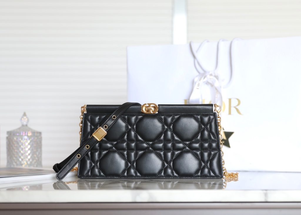 Dior Chain Clutch Bag