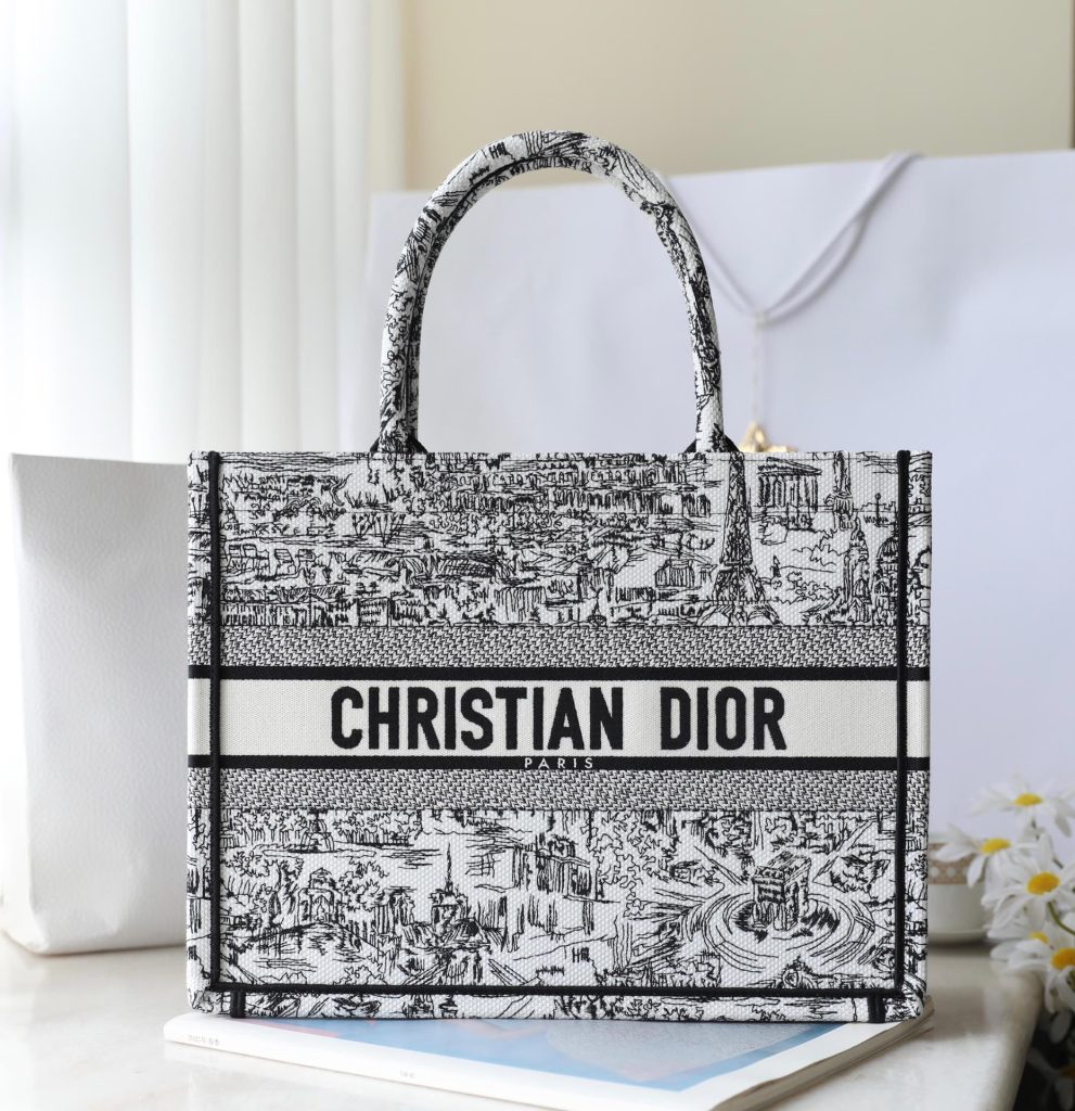 Dior Book Tote with Plan de Paris Embroidery