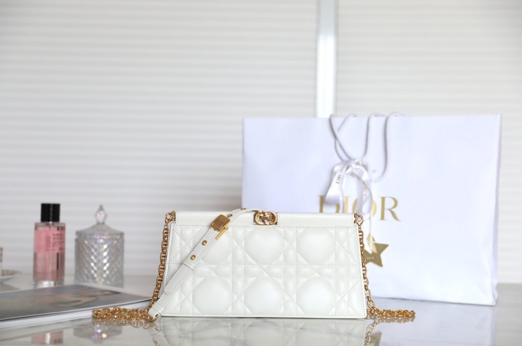 Dior Chain Clutch Bag